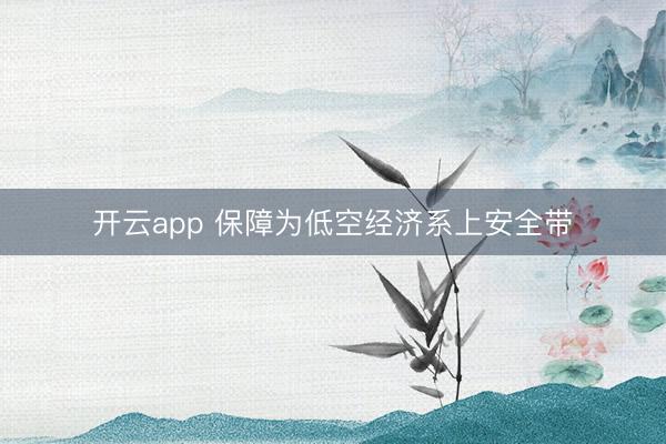 开云app 保障为低空经济系上安全带