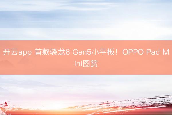 开云app 首款骁龙8 Gen5小平板！OPPO Pad Mini图赏