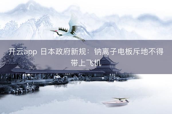 开云app 日本政府新规：钠离子电板斥地不得带上飞机